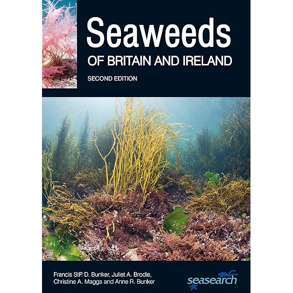 Irish Seaweed Kitchen (The comprehensive guide to healthy everyday